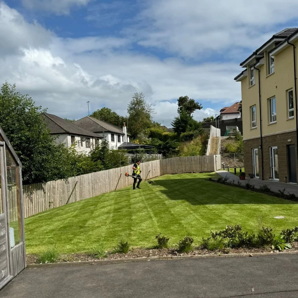 Full Lawn Cut