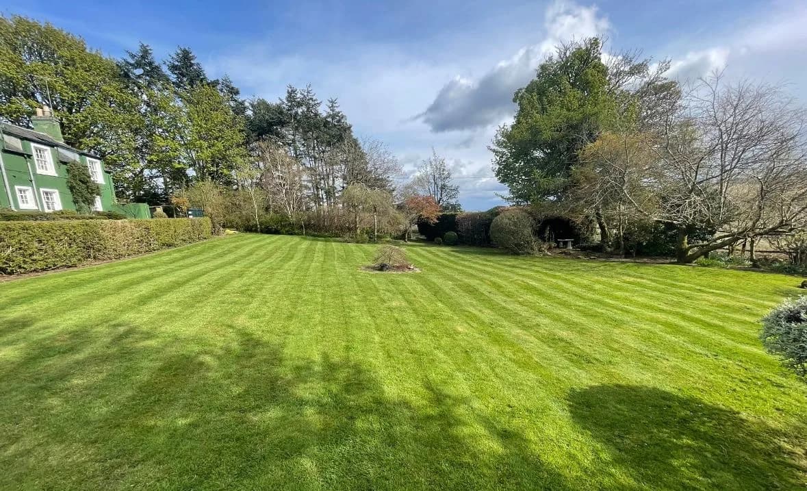 Lawn Mowing